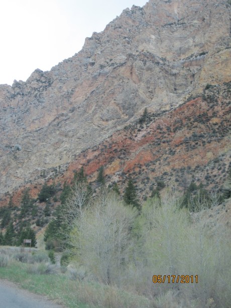 5-17-11 AshFlaGor10 #10