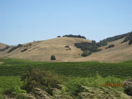 5-24-12Napa7