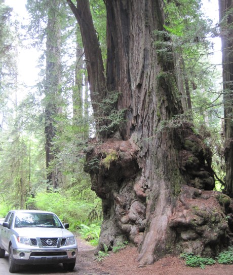 5-26-12RdwdWlkr17Trk