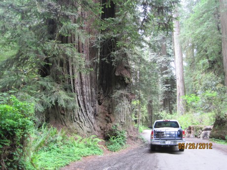 5-26-12RdwdWlkr18Trk