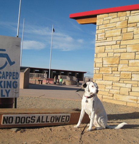 Montana's saying, "Can you BELIEVE this sign? What's wrong with these people? Don't they know who I am?" LOL