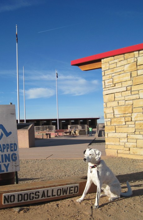 Do you see Montana is breaking her pose? WHY? Because Aunt Patty is walking toward her. It's like Montana is saying, "I forgot Aunt Pat is here too?"