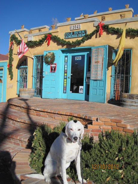 Finally, I understood her concern and showed her where to sit. She had, by this point, collected her usual audience.