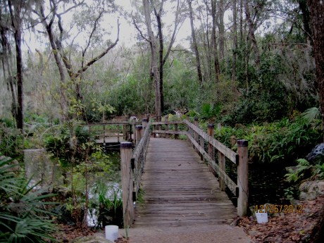 Path toward the falls