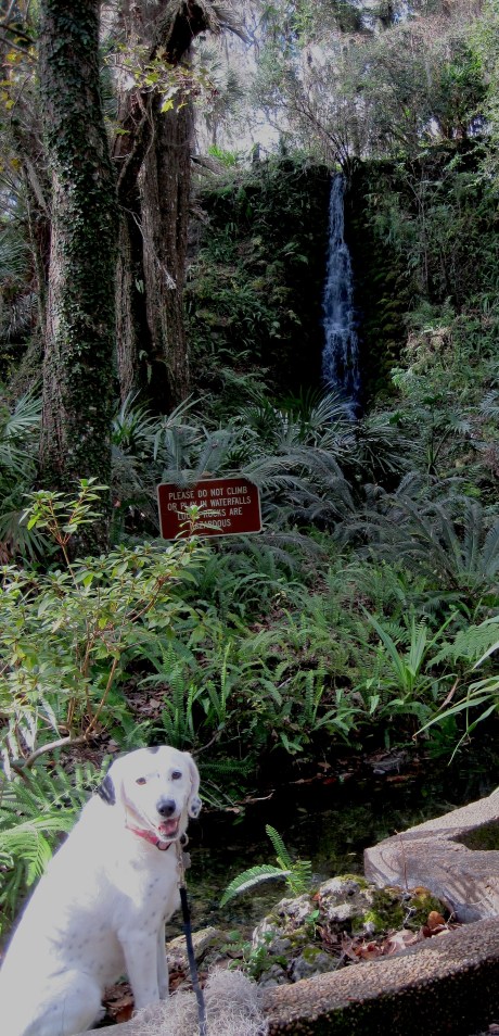 Where's Montana? In Rainbow Springs!