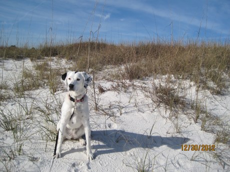 Where's Montana? On the beach! 