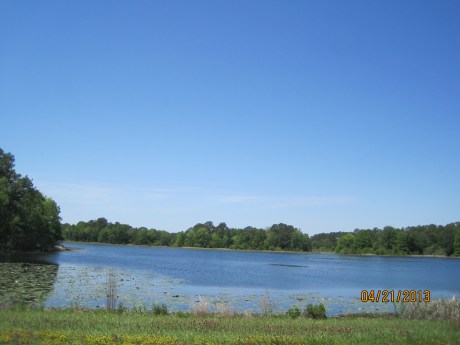 Florida back road through Three Rivers State Park. Ponds loaded with wildlife and  fishing lakes.
