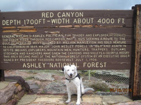 2016-5-16UTFlameRed1Mont