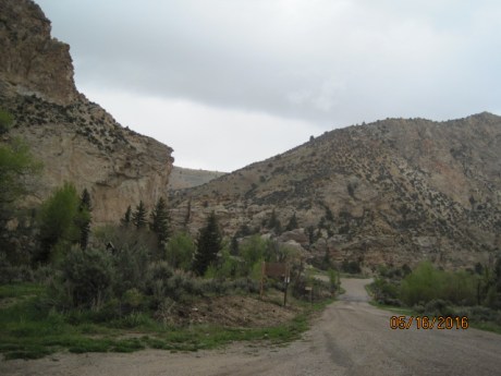 2016-5-16UTFlameToSheep3