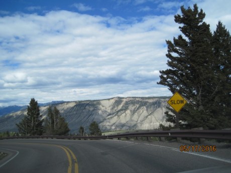 2016-5-17Yellowstone18