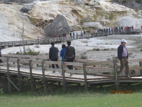 2016-5-17Yellowstone20HotSpgs