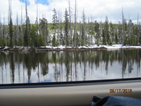 2016-5-17Yellowstone4