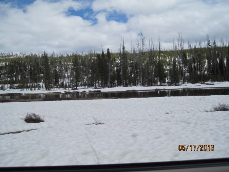 2016-5-17Yellowstone5