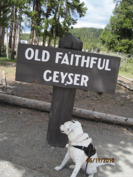 2016-5-17Yellowstone7OldMont