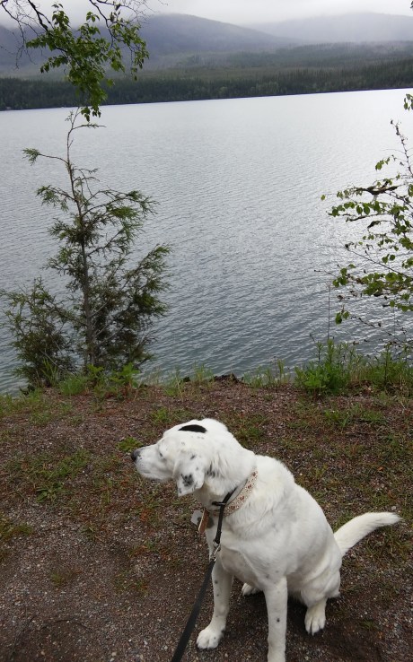 2016-5-19MT1aMcDLake