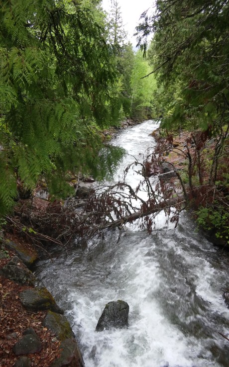 2016-5-19MT4McDLodgeCrk