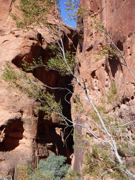 2017-10-29 SnowCany-11