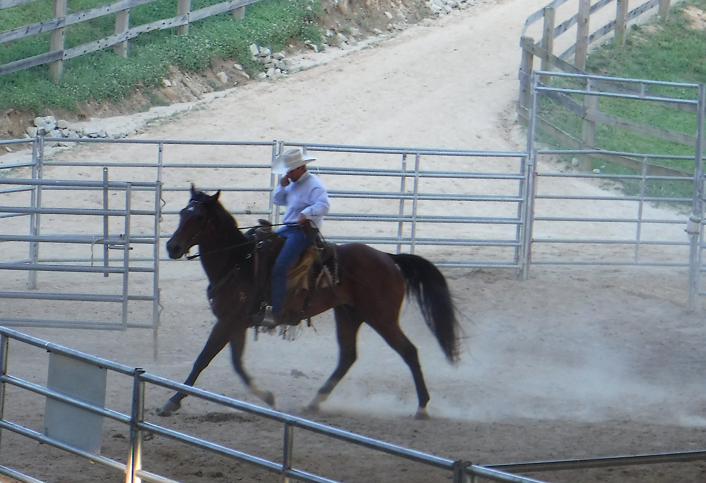 2019-5-25 Rodeo-3