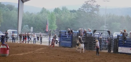 2019-5-25 Rodeo-9