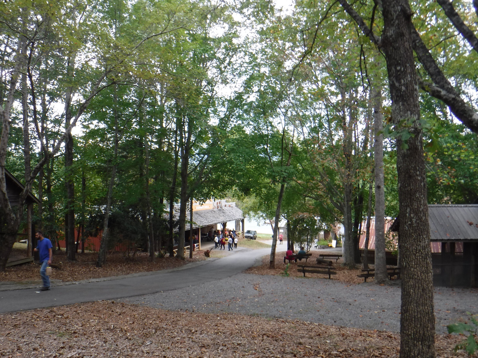 2019-10-12 GaMtnFest-5